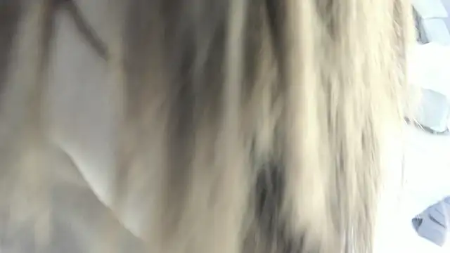 celestica rose online show from February 2026 10:30:01 PM