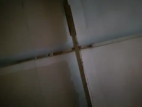 Dorset8360 online show from January 2025 03:21:01 PM