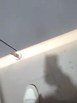 Snapshot of publicsir chatting on November 2025 03:45:01 PM publicsir online show from November 2025 03:45:01 PM