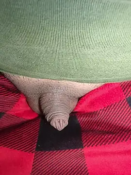 publicsir online show from March 2026 03:30:01 PM