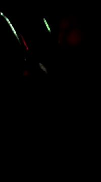 otterlover123 online show from March 2025 01:38:02 AM