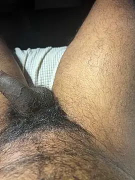 Snapshot of carlossdfr chatting on December 2024 11:29:01 PM carlossdfr online show from December 2024 11:29:01 PM