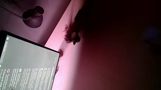 Snapshot of Gigadickman chatting on December 2024 06:00:01 AM Gigadickman online show from December 2024 06:00:01 AM