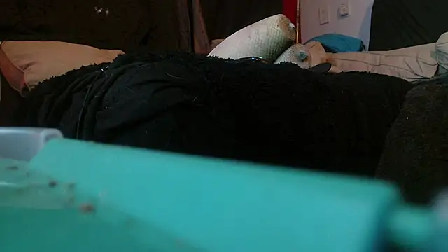 Snapshot of Gigadickman chatting on January 2025 02:17:01 AM Gigadickman online show from January 2025 02:17:01 AM