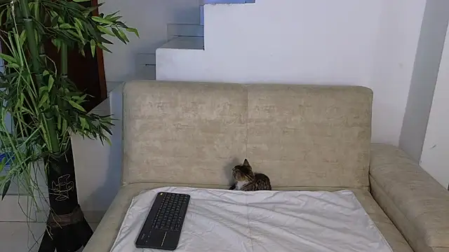 Lorenne Miller online show from October 2025 05:24:01 AM