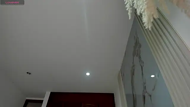 BridgetRodriguez online show from December 2025 01:29:01 PM