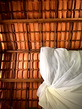 sammoura01 online show from September 2025 04:51:02 PM