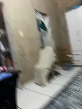 Snapshot of HenriqueH3 chatting on March 2026 04:14:02 PM HenriqueH3 online show from March 2026 04:14:02 PM