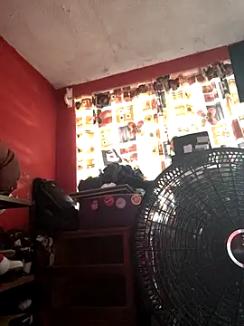 VL25DN26 online show from November 2025 04:51:02 PM