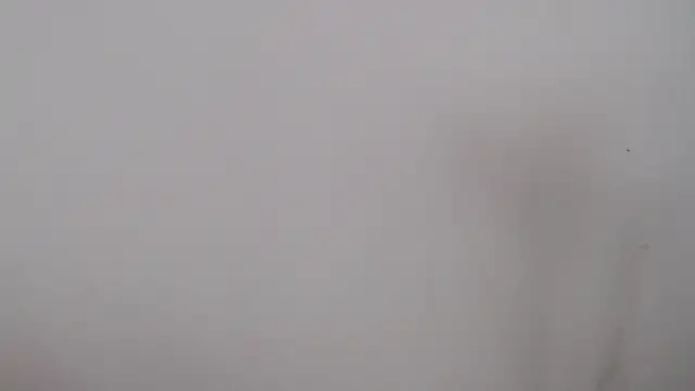 Snapshot of leoytessa_10 chatting on December 2024 09:17:01 PM leoytessa 10 online show from December 2024 09:17:01 PM