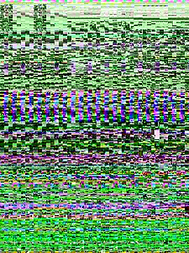 -SHINON- online show from November 2025 11:52:02 AM