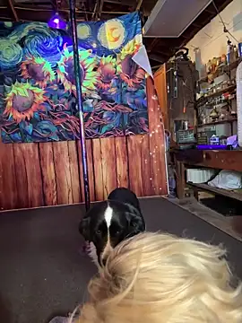 Blondebeauty6996 online show from December 2025 06:31:01 AM