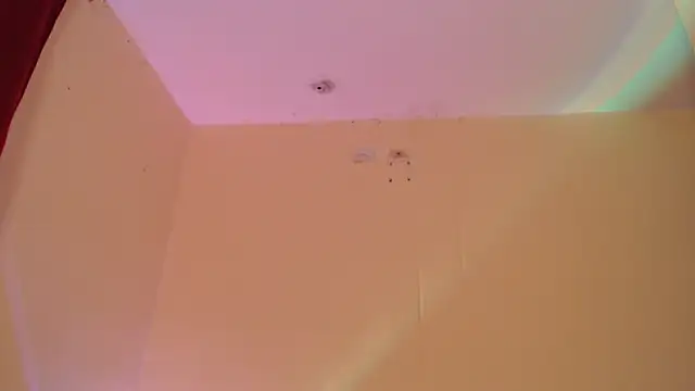  maiahairy  online show from December 2024 01:47:01 AM