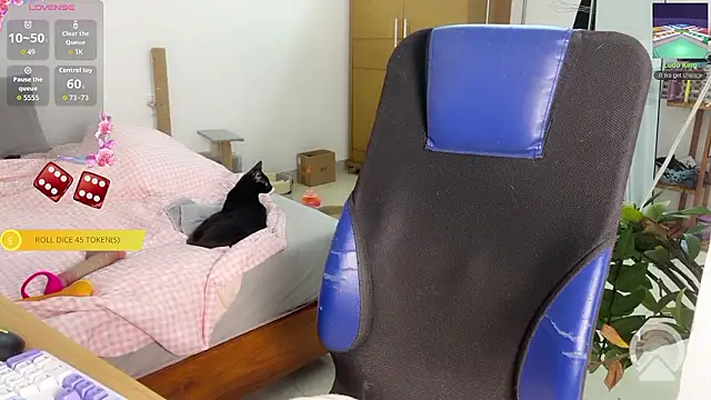 ashy 7999 online show from March 2026 12:43:01 PM