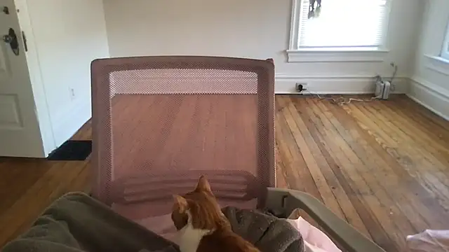 loveofbea online show from March 2026 10:05:02 PM