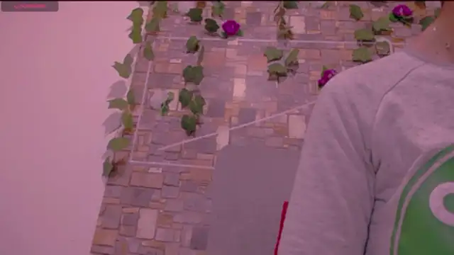 CrazyRousex online show from January 2026 02:23:01 PM