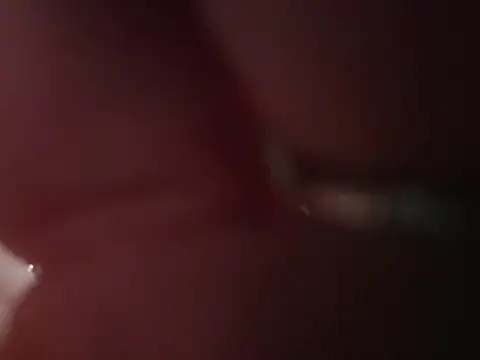 ILUV2TUCHMYKITTY online show from February 2026 02:49:01 PM