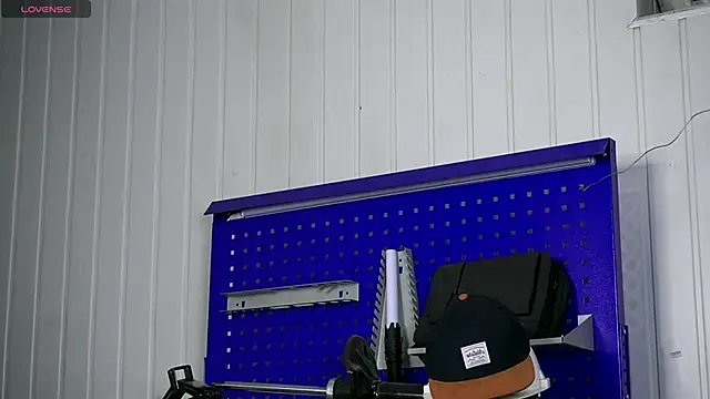 dustyn fox online show from November 2025 03:01:02 PM