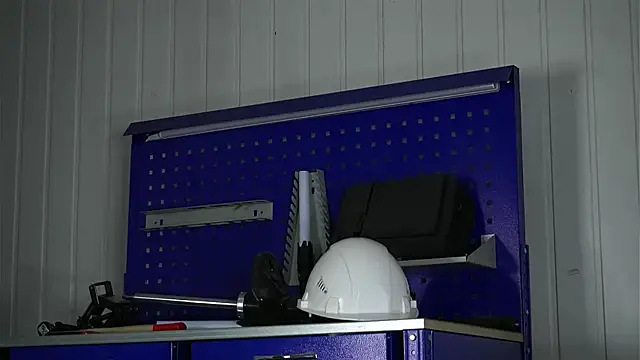 dustyn fox online show from February 2026 02:06:02 PM