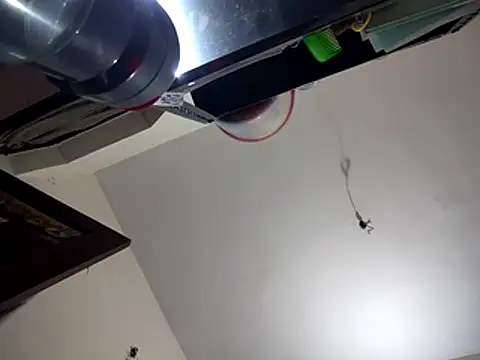 bigvorn6 online show from March 2026 06:24:02 AM