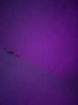 Snapshot of LiosArmando420 chatting on January 2026 01:59:01 PM LiosArmando420 online show from January 2026 01:59:01 PM