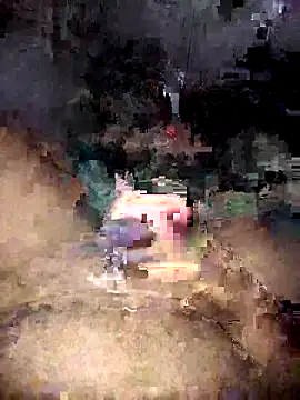 Zenfox24 online show from April 2026 11:43:01 AM