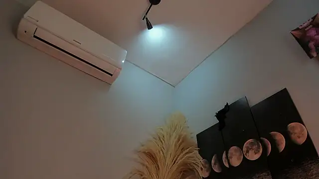 ALICEPOIXXXON online show from January 2026 06:49:02 AM