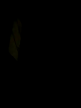 Sofiluisao online show from October 2025 05:46:01 AM