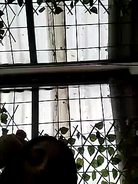 Snapshot of ailyn_miranda chatting on March 2025 06:21:02 PM ailyn miranda online show from March 2025 06:21:02 PM