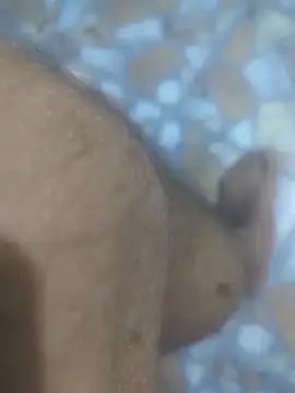 Sunnyboy7897 online show from March 2026 10:47:01 PM