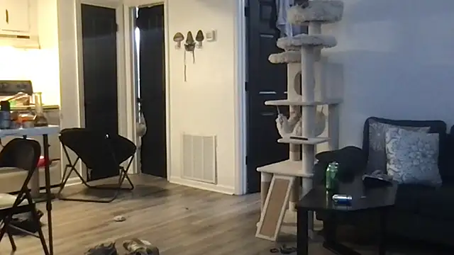 Snapshot of SpunCandy chatting on October 2025 04:29:01 AM SpunCandy online show from October 2025 04:29:01 AM