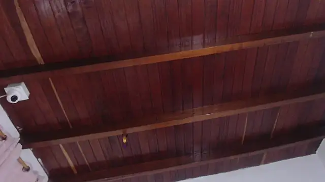 Snapshot of Amara_Red chatting on November 2025 11:23:02 AM Amara Red online show from November 2025 11:23:02 AM