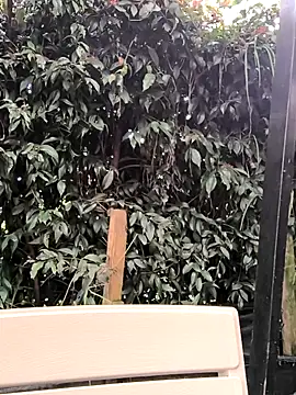 Fun Everywhere online show from March 2025 08:38:02 PM