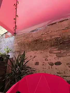 Snapshot of Fun_Everywhere chatting on April 2026 06:30:02 PM Fun Everywhere online show from April 2026 06:30:02 PM