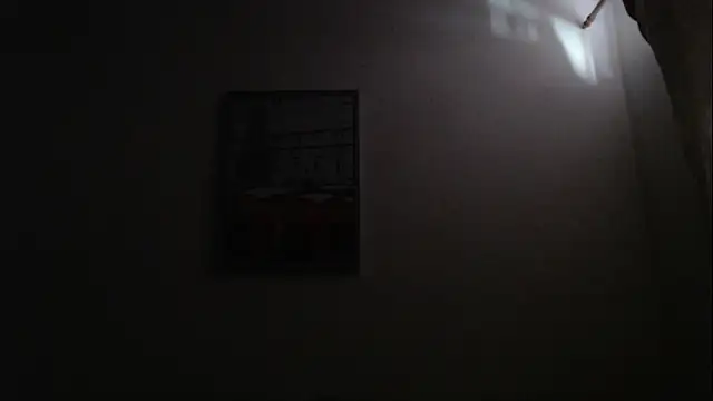 Snapshot of defuego_ chatting on March 2025 01:18:02 PM defuego online show from March 2025 01:18:02 PM