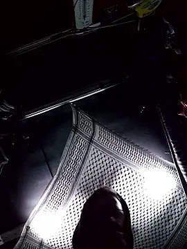 Snapshot of TRebelG chatting on January 2026 11:07:01 PM TRebelG online show from January 2026 11:07:01 PM