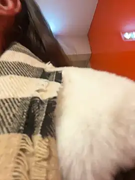 beautydiamond online show from January 2025 10:51:02 AM