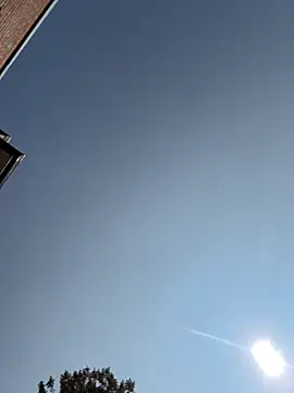 Snapshot of camdanz777 chatting on September 2025 04:28:01 PM camdanz777 online show from September 2025 04:28:01 PM