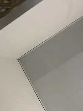 Vih222 online show from January 2025 02:56:02 AM