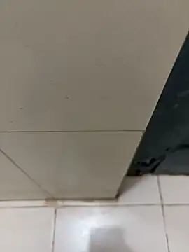 Snapshot of nangakings chatting on December 2025 03:18:02 PM nangakings online show from December 2025 03:18:02 PM