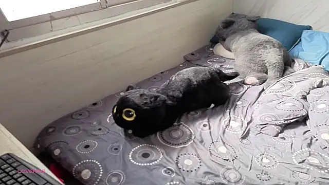 Big19Asia online show from September 2025 01:18:01 AM