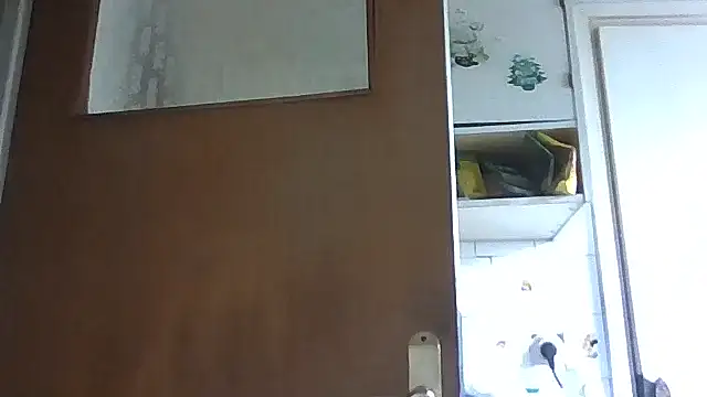 Snapshot of mariusica1@xh chatting on May 2026 01:06:01 PM mariusica1xh online show from May 2026 01:06:01 PM