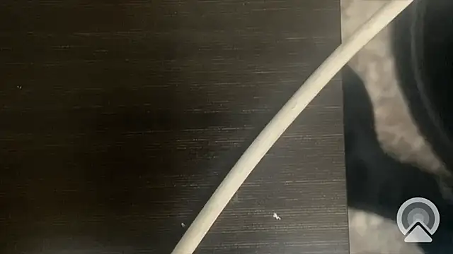 shuai321 online show from February 2025 07:56:01 AM