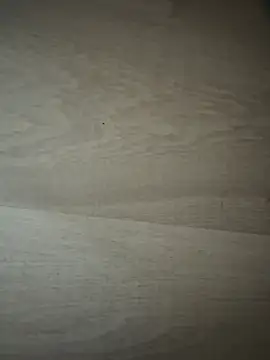 Joanachupa online show from January 2026 12:20:01 PM