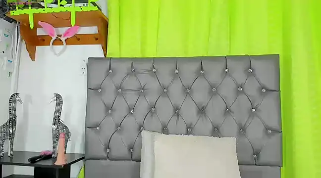 Snapshot of any_rox chatting on February 2025 03:37:02 PM any rox online show from February 2025 03:37:02 PM