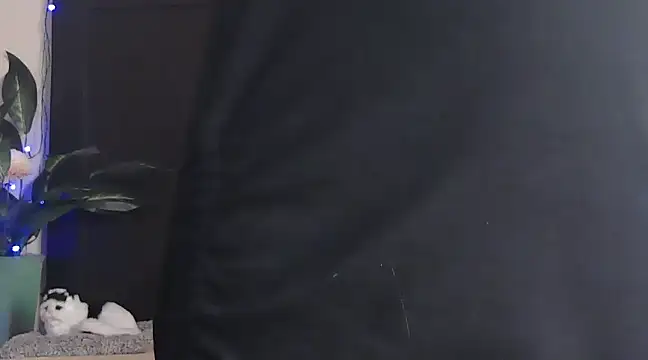 Snapshot of WildRuhi20 chatting on January 2025 11:13:01 AM WildRuhi20 online show from January 2025 11:13:01 AM