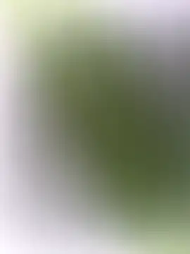 Snapshot of mrwright878787 chatting on December 2024 07:14:01 PM mrwright878787 online show from December 2024 07:14:01 PM