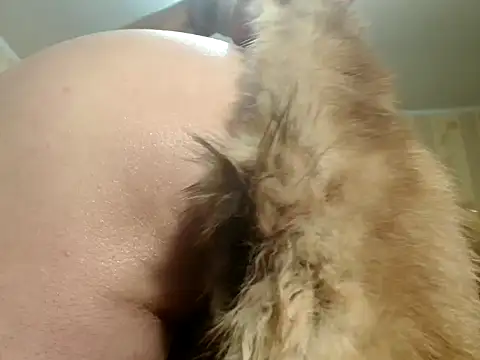 Valentina3859 online show from November 2025 11:20:02 AM