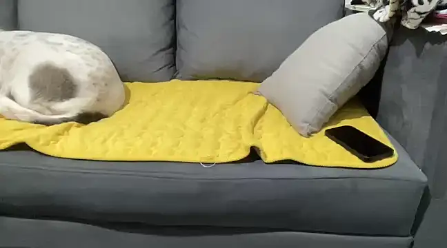 4small4inchlol online show from January 2025 10:12:02 PM