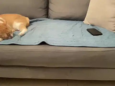 4small4inchlol online show from November 2025 03:55:01 PM